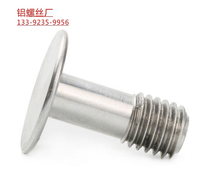 <strong>非標大平頭M5鋁螺絲</strong>